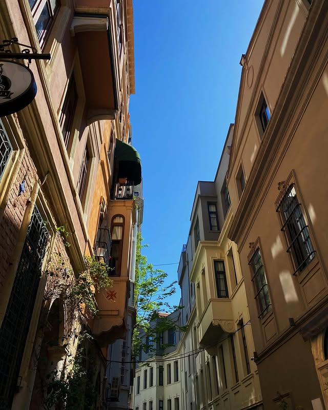 625135931 18190800646342865 2594096182478534350 N.